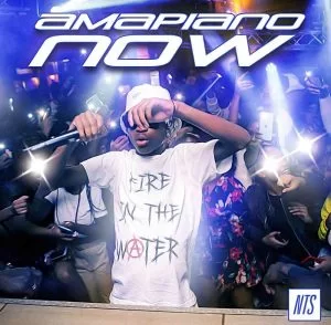 DBN Gogo, Musa Keys,Dinho, Possible, Lebza The Villain, Optimist Music ZA, Koek Sista, Makhanj, Vine MusiQ, Video, mp3, download, datafilehost, toxicwap, fakaza, House Music, Amapiano, Amapiano 2021, Amapiano Mix, Amapiano Music
