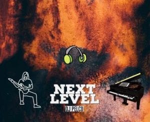 DJ Pelco, Next Level, Original Mix, mp3, download, datafilehost, toxicwap, fakaza, Gqom Beats, Gqom Songs, Gqom Music, Gqom Mix, House Music