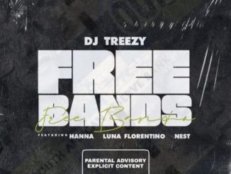 DJ Treezy, Free Bands, Luna Florentino, Hanna, Nest, mp3, download, datafilehost, toxicwap, fakaza, House Music, Amapiano, Amapiano 2021, Amapiano Mix, Amapiano Music