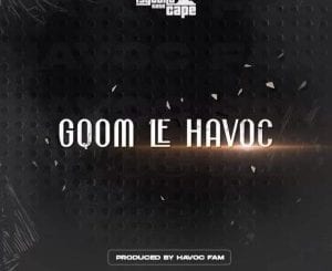 Havoc Fam, Gqom Le Havoc, download ,zip, zippyshare, fakaza, EP, datafilehost, album, Gqom Beats, Gqom Songs, Gqom Music, Gqom Mix, House Music