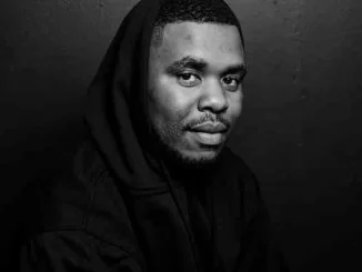 Luu Nineleven, Local Series 12 Mix, Lockdown Edition, mp3, download, datafilehost, toxicwap, fakaza, House Music, Amapiano, Amapiano 2021, Amapiano Mix, Amapiano Music