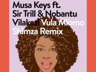 Musa Keys, Vula Mlomo,Shimza Remix, Sir Trill, Nobantu Vilakazi, mp3, download, datafilehost, toxicwap, fakaza, House Music, Amapiano, Amapiano 2021, Amapiano Mix, Amapiano Music
