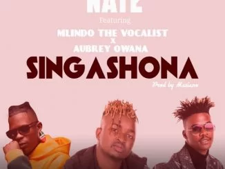Nate, Singashona,. Mlindo The Vocalist, Aubrey Qwana, mp3, download, datafilehost, toxicwap, fakaza, House Music, Amapiano, Amapiano 2021, Amapiano Mix, Amapiano Music