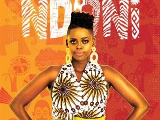 Ndoni, Mpinda Mshaye, mp3, download, datafilehost, toxicwap, fakaza, Afro House, Afro House 2021, Afro House Mix, Afro House Music, Afro Tech, House Music