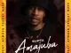SUPTA, Amajuba,Aymos,Peekay Mzee, mp3, download, datafilehost, toxicwap, fakaza, House Music, Amapiano, Amapiano 2021, Amapiano Mix, Amapiano Music