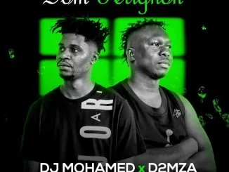 The Lowkeys, Dj Mohamed, D2MZA, Dom Pérignon, 3TW01, mp3, download, datafilehost, toxicwap, fakaza, House Music, Amapiano, Amapiano 2021, Amapiano Mix, Amapiano Music
