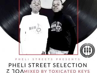 Toxicated Keys, Pheli Streets Selection Vol.2, Rough MusiQ Edition, mp3, download, datafilehost, toxicwap, fakaza, House Music, Amapiano, Amapiano 2021, Amapiano Mix, Amapiano Music