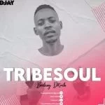 TribeSoul, Resonate, Main Soulfied, mp3, download, datafilehost, toxicwap, fakaza, House Music, Amapiano, Amapiano 2021, Amapiano Mix, Amapiano Music