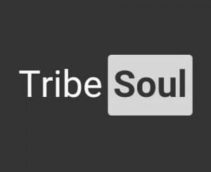 Tribesoul, Num, mp3, download, datafilehost, toxicwap, fakaza, House Music, Amapiano, Amapiano 2021, Amapiano Mix, Amapiano Music