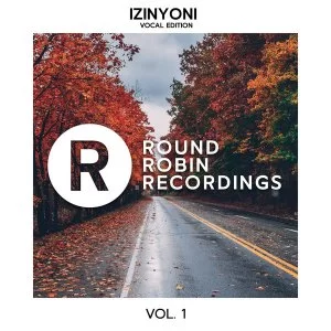VA, Izinyoni Vocal Edition Vol. 1, download ,zip, zippyshare, fakaza, EP, datafilehost, album, Deep House Mix, Deep House, Deep House Music, Deep Tech, Afro Deep Tech, House Music