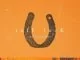 A-Reece, tuff Luck, Jay Jody, mp3, download, datafilehost, toxicwap, fakaza, Hiphop, Hip hop music, Hip Hop Songs, Hip Hop Mix, Hip Hop, Rap, Rap Music