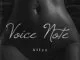 Allyz, Voice Note, mp3, download, datafilehost, toxicwap, fakaza, Gqom Beats, Gqom Songs, Gqom Music, Gqom Mix, House Music
