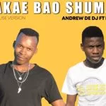 Andrew De DJ, Bakae Bao Shuma, De Fillips, Original, mp3, download, datafilehost, toxicwap, fakaza, Afro House, Afro House 2021, Afro House Mix, Afro House Music, Afro Tech, House Music
