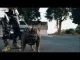Big Monii, We Go Dey Ok, Video, mp3, download, datafilehost, toxicwap, fakaza, Hiphop, Hip hop music, Hip Hop Songs, Hip Hop Mix, Hip Hop, Rap, Rap Music