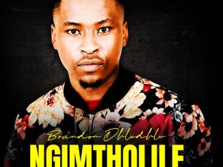 Brandon Dhludhlu, Ngimtholile, Zama Khumalo, mp3, download, datafilehost, toxicwap, fakaza, Pop Music, Pop, Afro-Pop