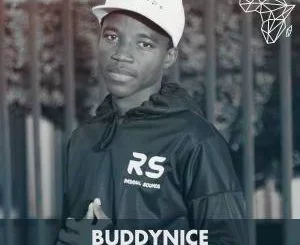 Buddynice, DHSA Mix 052, mp3, download, datafilehost, toxicwap, fakaza, Deep House Mix, Deep House, Deep House Music, Deep Tech, Afro Deep Tech, House Music