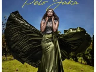 Cici, Pelo Yaka, mp3, download, datafilehost, toxicwap, fakaza, Afro House, Afro House 2021, Afro House Mix, Afro House Music, Afro Tech, House Music