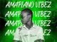 DJ Leo Mix, Amapiano Vibez Vol. 2, mp3, download, datafilehost, toxicwap, fakaza, House Music, Amapiano, Amapiano 2021, Amapiano Mix, Amapiano Music