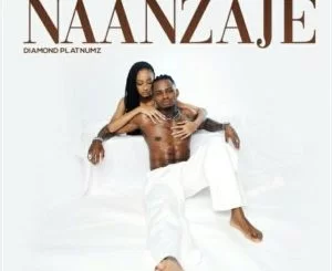 Diamond Platnumz, Naanzaje, mp3, download, datafilehost, toxicwap, fakaza, Afro House, Afro House 2021, Afro House Mix, Afro House Music, Afro Tech, House Music