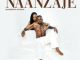 Diamond Platnumz, Naanzaje, mp3, download, datafilehost, toxicwap, fakaza, Afro House, Afro House 2021, Afro House Mix, Afro House Music, Afro Tech, House Music