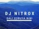 Dj Nitrox, Dali Zobuya nini, mp3, download, datafilehost, toxicwap, fakaza, House Music, Amapiano, Amapiano 2021, Amapiano Mix, Amapiano Music