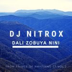 Dj Nitrox, Dali Zobuya nini, mp3, download, datafilehost, toxicwap, fakaza, House Music, Amapiano, Amapiano 2021, Amapiano Mix, Amapiano Music