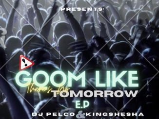 Dj Pelco, Kingshesha, Gqom Like There’s No Tomorrow, download ,zip, zippyshare, fakaza, EP, datafilehost, album, Gqom Beats, Gqom Songs, Gqom Music, Gqom Mix, House Music