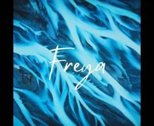 Dwson, Freya, Original Mix, mp3, download, datafilehost, toxicwap, fakaza, Afro House, Afro House 2021, Afro House Mix, Afro House Music, Afro Tech, House Music