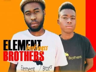 Element Brothers, Untitled, Instrumental Version, mp3, download, datafilehost, toxicwap, fakaza, House Music, Amapiano, Amapiano 2021, Amapiano Mix, Amapiano Music