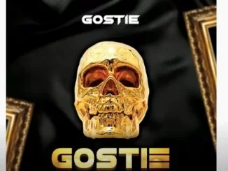 Gostie, Gostie, download ,zip, zippyshare, fakaza, EP, datafilehost, album, House Music, Amapiano, Amapiano 2021, Amapiano Mix, Amapiano Music