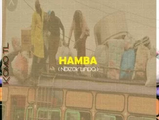 Kamo TL, Hamba, Ndizok’Linda, mp3, download, datafilehost, toxicwap, fakaza, House Music, Amapiano, Amapiano 2021, Amapiano Mix, Amapiano Music
