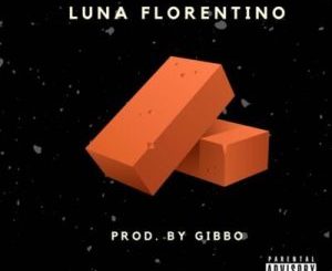 Luna Florentino, Bricks, mp3, download, datafilehost, toxicwap, fakaza, Hiphop, Hip hop music, Hip Hop Songs, Hip Hop Mix, Hip Hop, Rap, Rap Music
