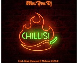 Miss Pru DJ, Chillisi, Blaq Diamond, Malome Vector, mp3, download, datafilehost, toxicwap, fakaza, Hiphop, Hip hop music, Hip Hop Songs, Hip Hop Mix, Hip Hop, Rap, Rap Music