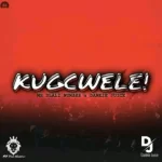 Mr Dlali Number, Dankie Juice, Kugcwele, mp3, download, datafilehost, toxicwap, fakaza, Gqom Beats, Gqom Songs, Gqom Music, Gqom Mix, House Music