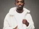Nkulee501, Uyalalela Dub Mix, mp3, download, datafilehost, toxicwap, fakaza, House Music, Amapiano, Amapiano 2021, Amapiano Mix, Amapiano Music