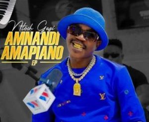 Ntosh Gazi, Amnandi Amapiano, download ,zip, zippyshare, fakaza, EP, datafilehost, album, House Music, Amapiano, Amapiano 2021, Amapiano Mix, Amapiano Music