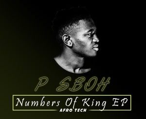 P Sboh, Numbers Of King, download ,zip, zippyshare, fakaza, EP, datafilehost, album, Afro House, Afro House 2021, Afro House Mix, Afro House Music, Afro Tech, House Music