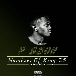 P Sboh, Numbers Of King, download ,zip, zippyshare, fakaza, EP, datafilehost, album, Afro House, Afro House 2021, Afro House Mix, Afro House Music, Afro Tech, House Music