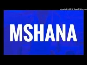 Reece Madlisa, Zuma, Busta 929, Abidoza, MSHANA, mp3, download, datafilehost, toxicwap, fakaza, House Music, Amapiano, Amapiano 2021, Amapiano Mix, Amapiano Music
