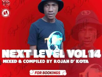 Rojah D’kota, Next Level Vol 14 Mix, mp3, download, datafilehost, toxicwap, fakaza, House Music, Amapiano, Amapiano 2021, Amapiano Mix, Amapiano Music