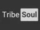 Rowen, TribeSoul, Ties, Dub Feel, mp3, download, datafilehost, toxicwap, fakaza, House Music, Amapiano, Amapiano 2021, Amapiano Mix, Amapiano Music