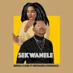 Shuga Cane, Sekwanele, Rethabile Khumalo, mp3, download, datafilehost, toxicwap, fakaza, House Music, Amapiano, Amapiano 2021, Amapiano Mix, Amapiano Music