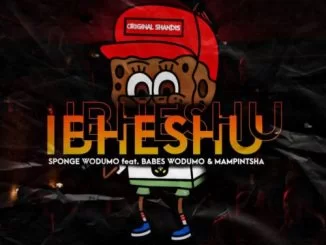 Sponge Wodumo, Ibheshu, Mampintsha, Babes Wodumo, mp3, download, datafilehost, toxicwap, fakaza, Gqom Beats, Gqom Songs, Gqom Music, Gqom Mix, House Music