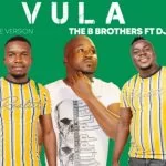 The B Brothers, Vula, DJ Call Me, Original, mp3, download, datafilehost, toxicwap, fakaza, House Music, Amapiano, Amapiano 2021, Amapiano Mix, Amapiano Music