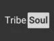 TribeSoul, Lxxnie, Stoko Size, Vocal Mix, mp3, download, datafilehost, toxicwap, fakaza, House Music, Amapiano, Amapiano 2021, Amapiano Mix, Amapiano Music