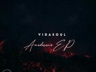 Vida-Soul, Amadamara, download ,zip, zippyshare, fakaza, EP, datafilehost, album, Afro House, Afro House 2021, Afro House Mix, Afro House Music, Afro Tech, House Music