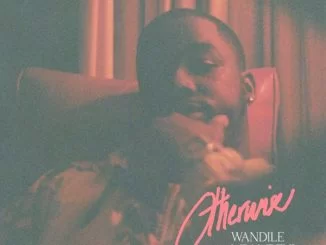 Wandile Mbambeni, Otherwise, mp3, download, datafilehost, toxicwap, fakaza, Afro House, Afro House 2021, Afro House Mix, Afro House Music, Afro Tech, House Music