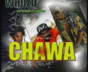 Whozu, Chawa, Rayvanny, Ntosh Gazi, mp3, download, datafilehost, toxicwap, fakaza, Gqom Beats, Gqom Songs, Gqom Music, Gqom Mix, House Music