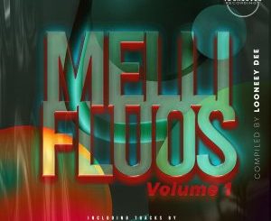 Mellifluous Vol.1, Compiled By Looney Dee, download ,zip, zippyshare, fakaza, EP, datafilehost, album, Deep House Mix, Deep House, Deep House Music, Deep Tech, Afro Deep Tech, House Music