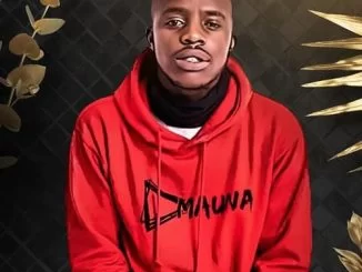 Zimi Mauna, Dedela, Tman Vox, mp3, download, datafilehost, toxicwap, fakaza, Gqom Beats, Gqom Songs, Gqom Music, Gqom Mix, House Music